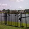 iron pics-Arched Iron gate